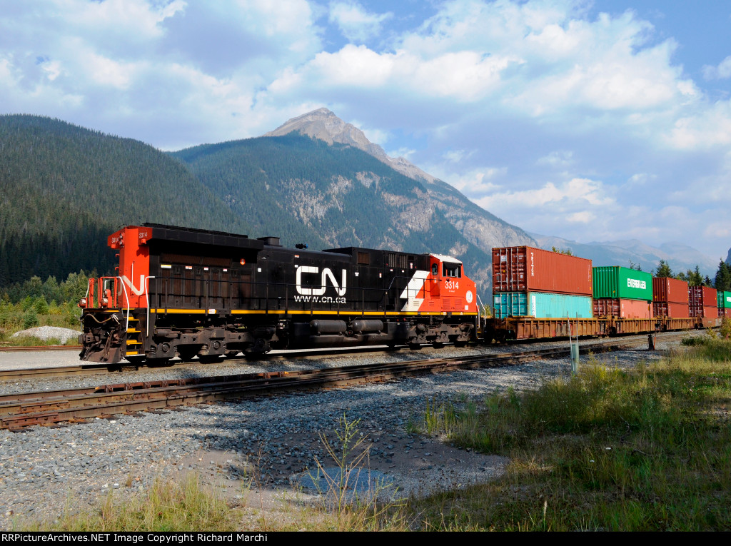 CN 3314